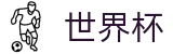 2026国际足联世界杯官方直营 - 官方中文服务导航